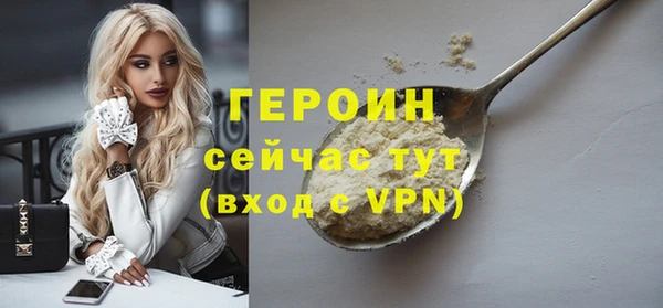 индика Тында