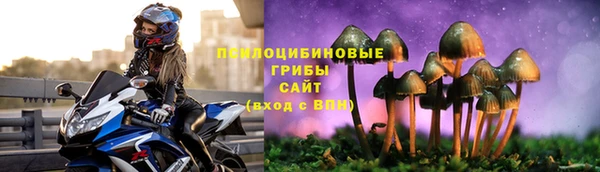 прущая мука Арсеньев